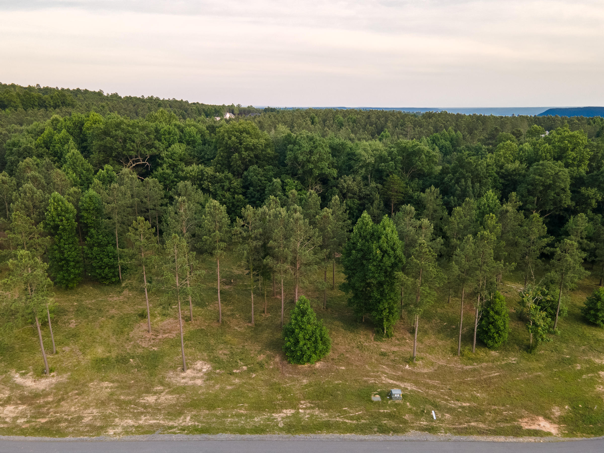 0 Pappy Road, Unit 208 Jasper, TN 37347 - Photo 3 of 5 Pappy-2
