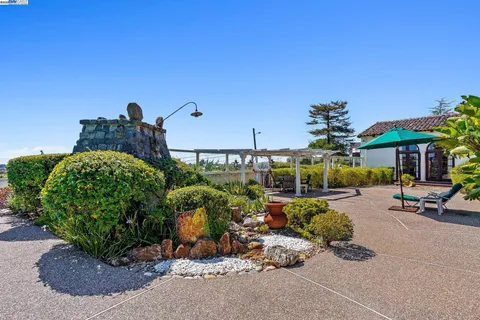 a view of a garden with a pathway