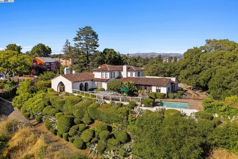 a picture of flowers