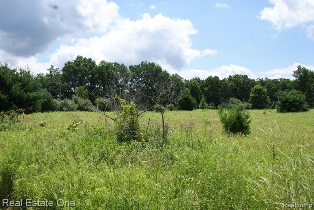 H Smith Road Lapeer, MI 48446 - Photo 4 of 4 Gallery Image 4