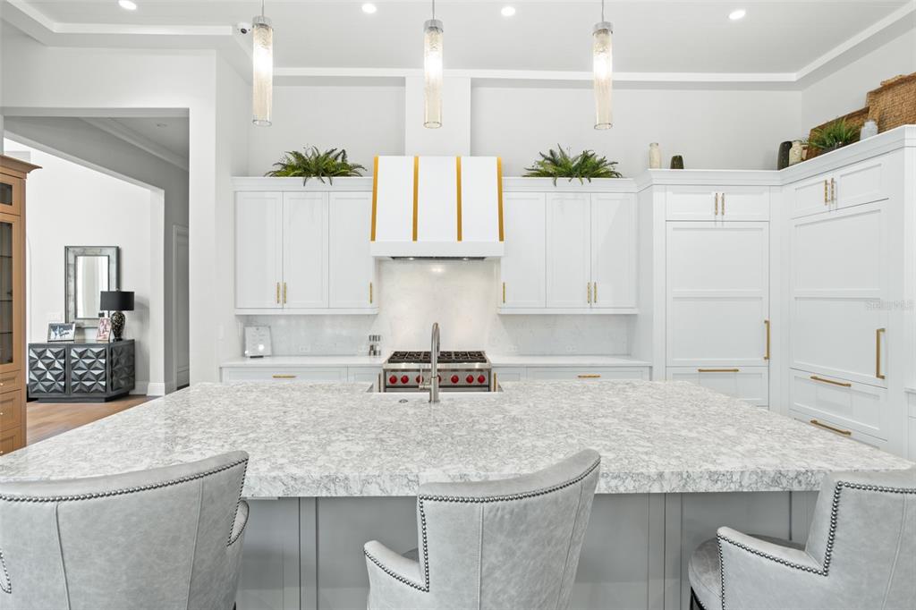 10331 Los Feliz Drive Orlando, FL 32836 - Photo 8 of 56