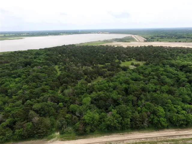 a view of a forest with a street