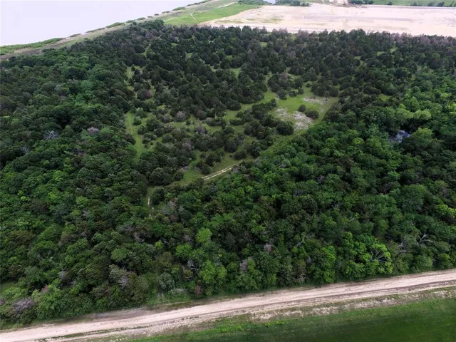 a view of a lush green forest with trees and some houses