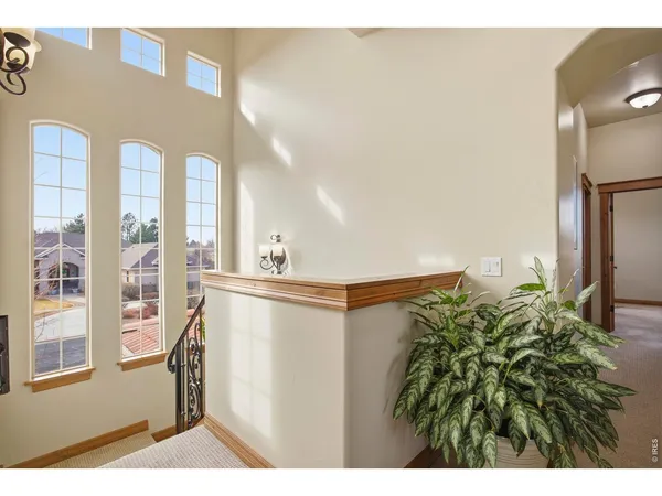 a kitchen with a stove a sink and a refrigerator