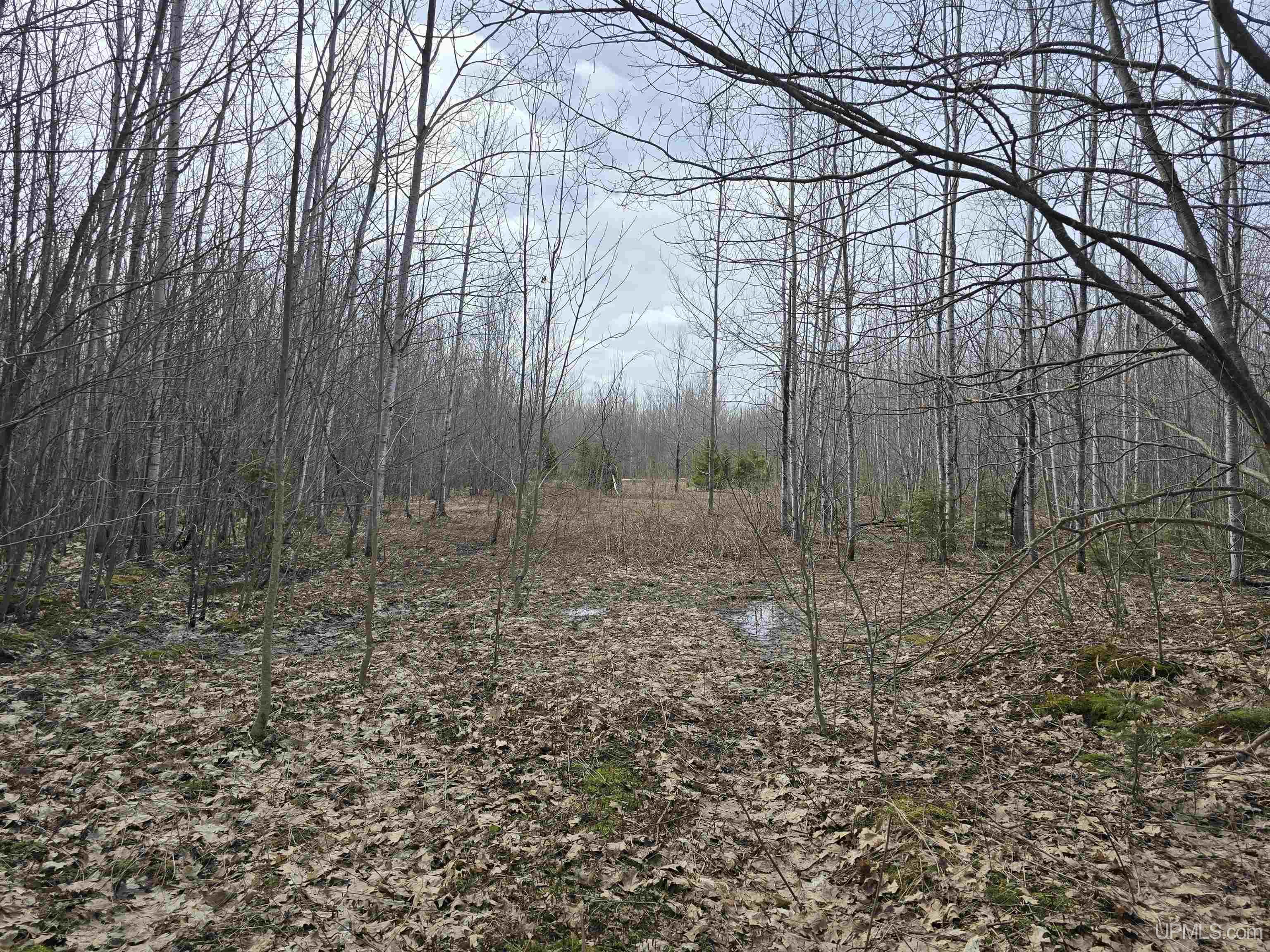 Tbd Woodspur Road Ontonagon, MI 49953 - Photo 20 of 46
