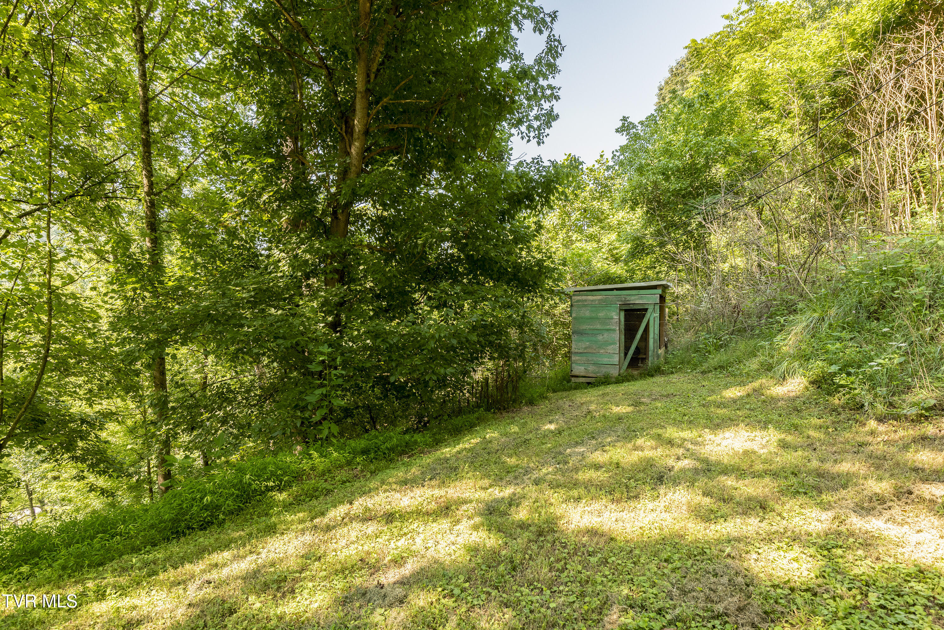 4195 Walker Mountain Road Bristol, VA 24202 - Photo 6 of 33 4195-Walker-Mountain-Rd-Bristol-VA Matt-