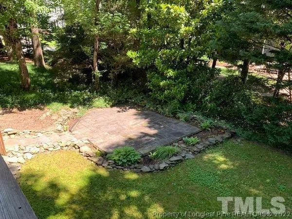 a view of a yard with plants and trees
