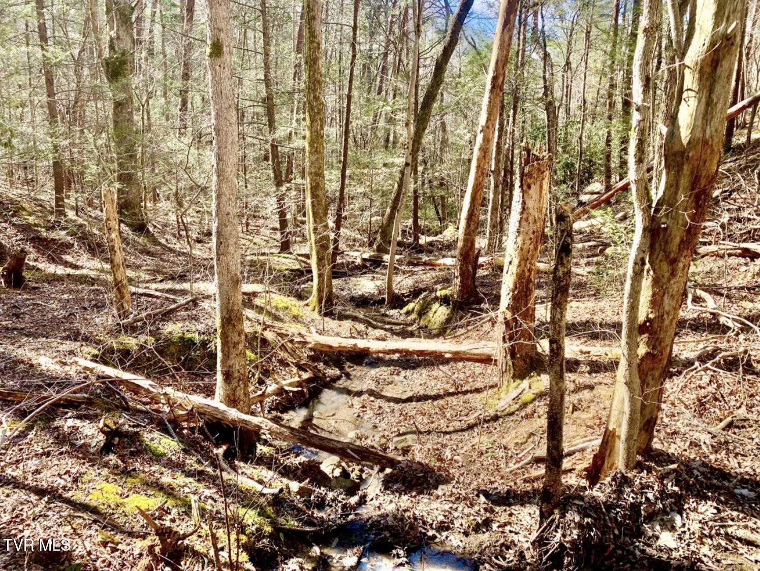 2295 Kelley Gap Road Greeneville, TN 37743 - Photo 3 of 5 Image 9-1-25 at 12.00 PM