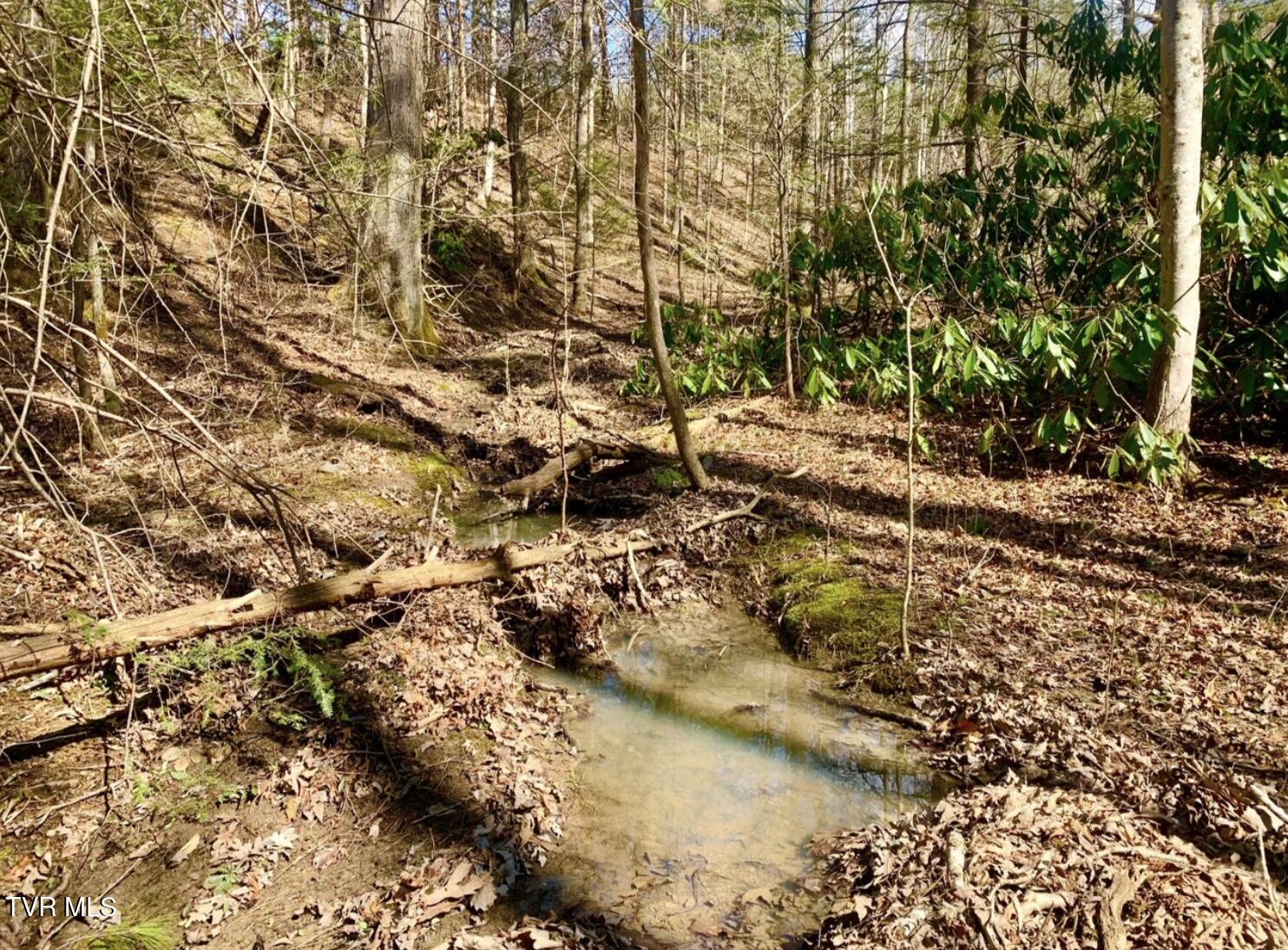 2295 Kelley Gap Road Greeneville, TN 37743 - Photo 4 of 5 Image 9-1-25 at 12.03 PM