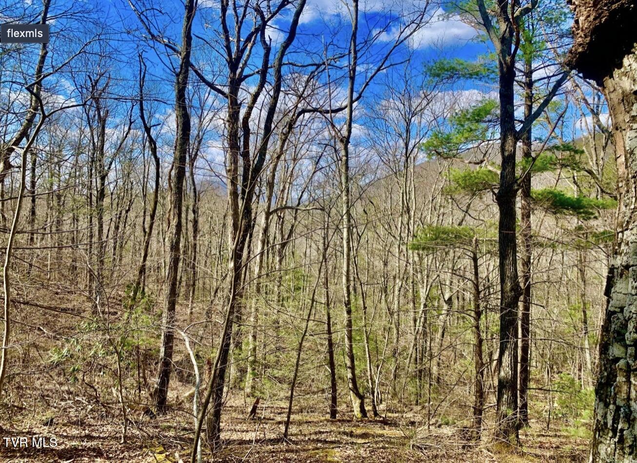 2295 Kelley Gap Road Greeneville, TN 37743 - Photo 5 of 5 Image 9-1-25 at 12.06 PM