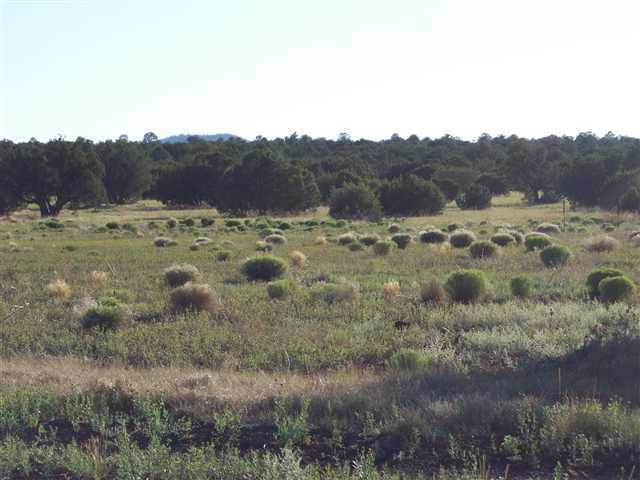 106 - 028s Acr 3556 Show Low, AZ 85901 - Photo 1 of 3