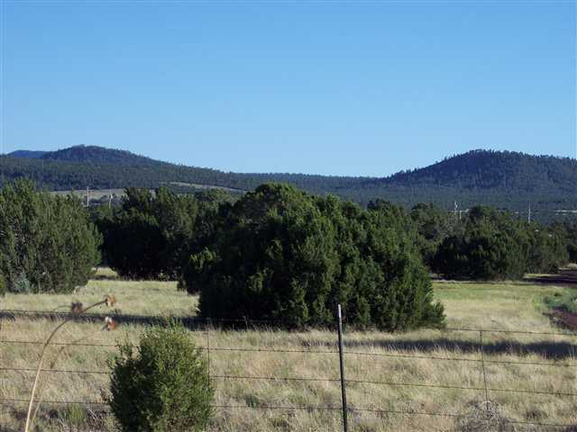 106 - 028s Acr 3556 Show Low, AZ 85901 - Photo 2 of 3