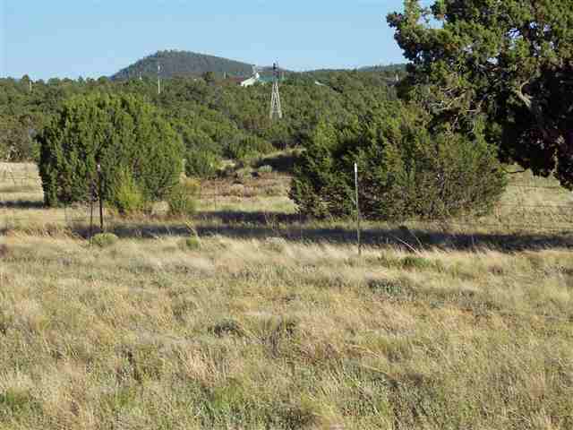 106 - 028s Acr 3556 Show Low, AZ 85901 - Photo 3 of 3