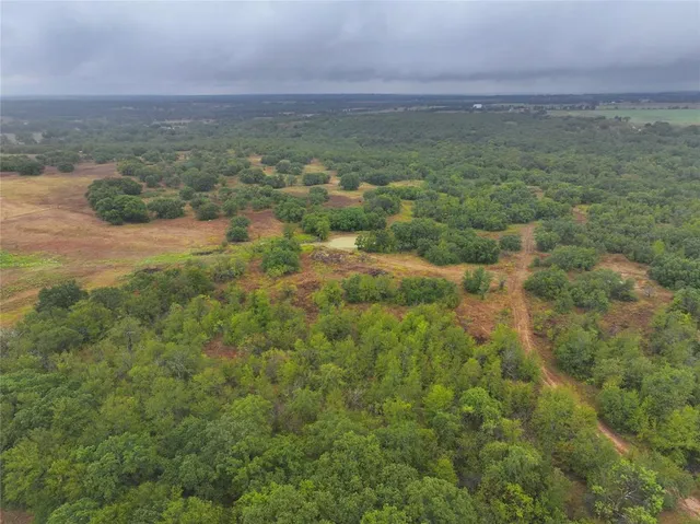 a view of a field with an ocean