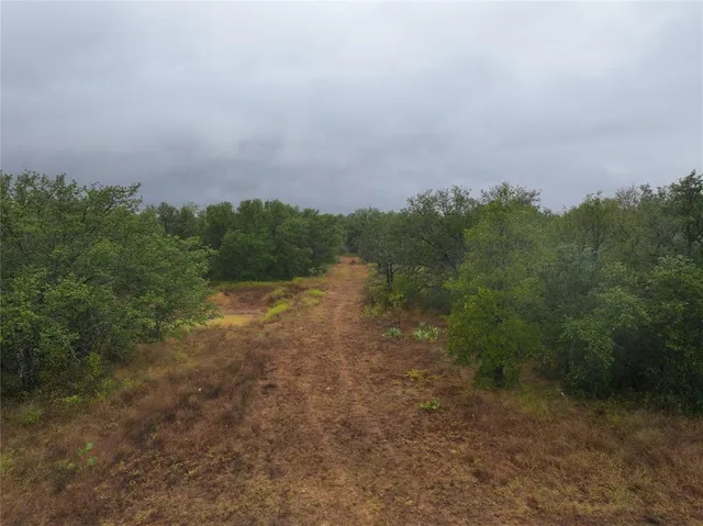 a view of a field with trees in background