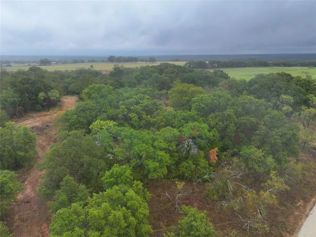 a view of a lush green field