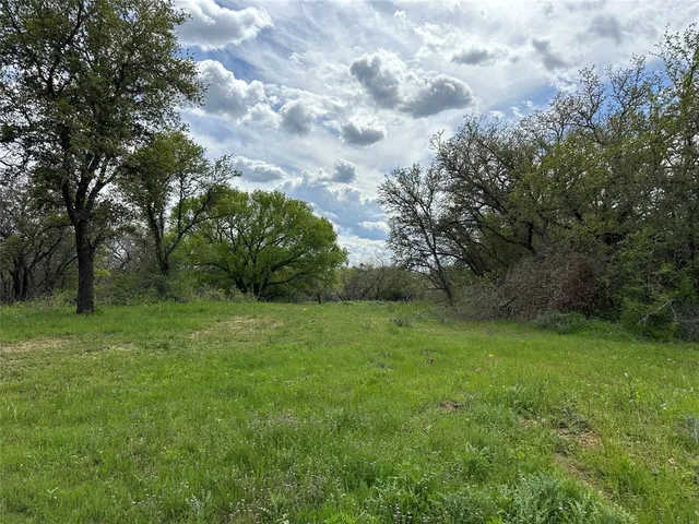 a view of a green field with trees