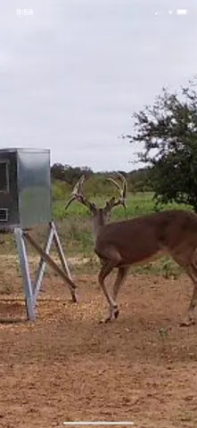 a view of swimming pool with a yard
