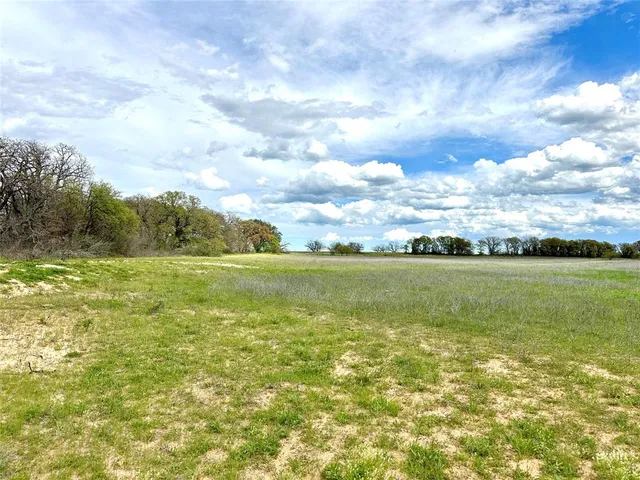 a view of an ocean from a yard