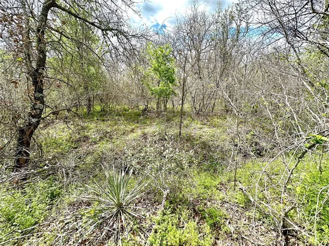 a view of outdoor space and a yard