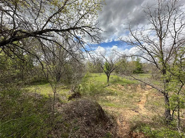 a view of a yard with a tree