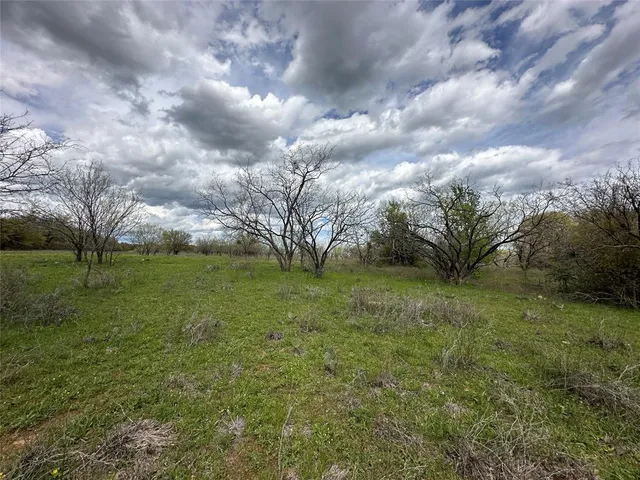 a view of yard with tree s