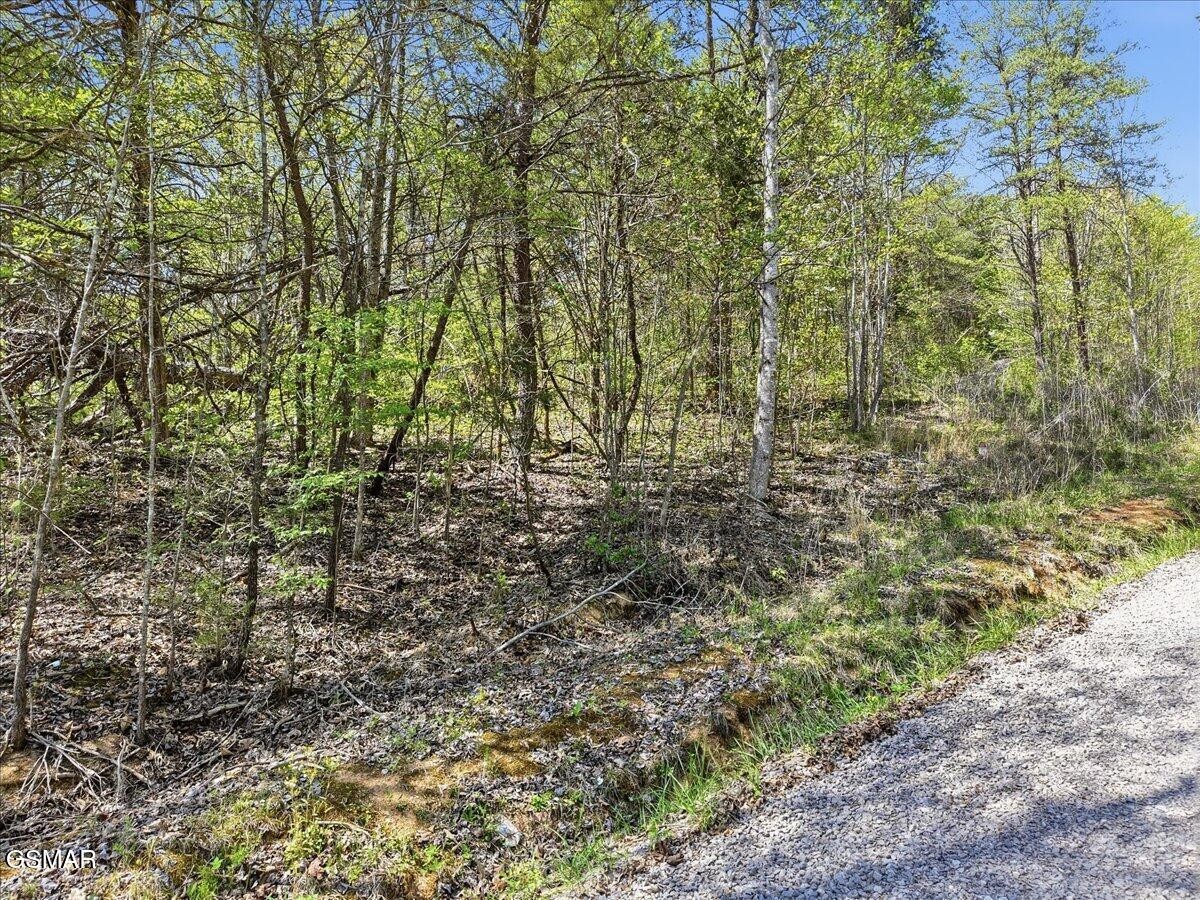 0 Dark Hollow Road Cosby, TN 37722 - Photo 3 of 17 Gallery Image 3