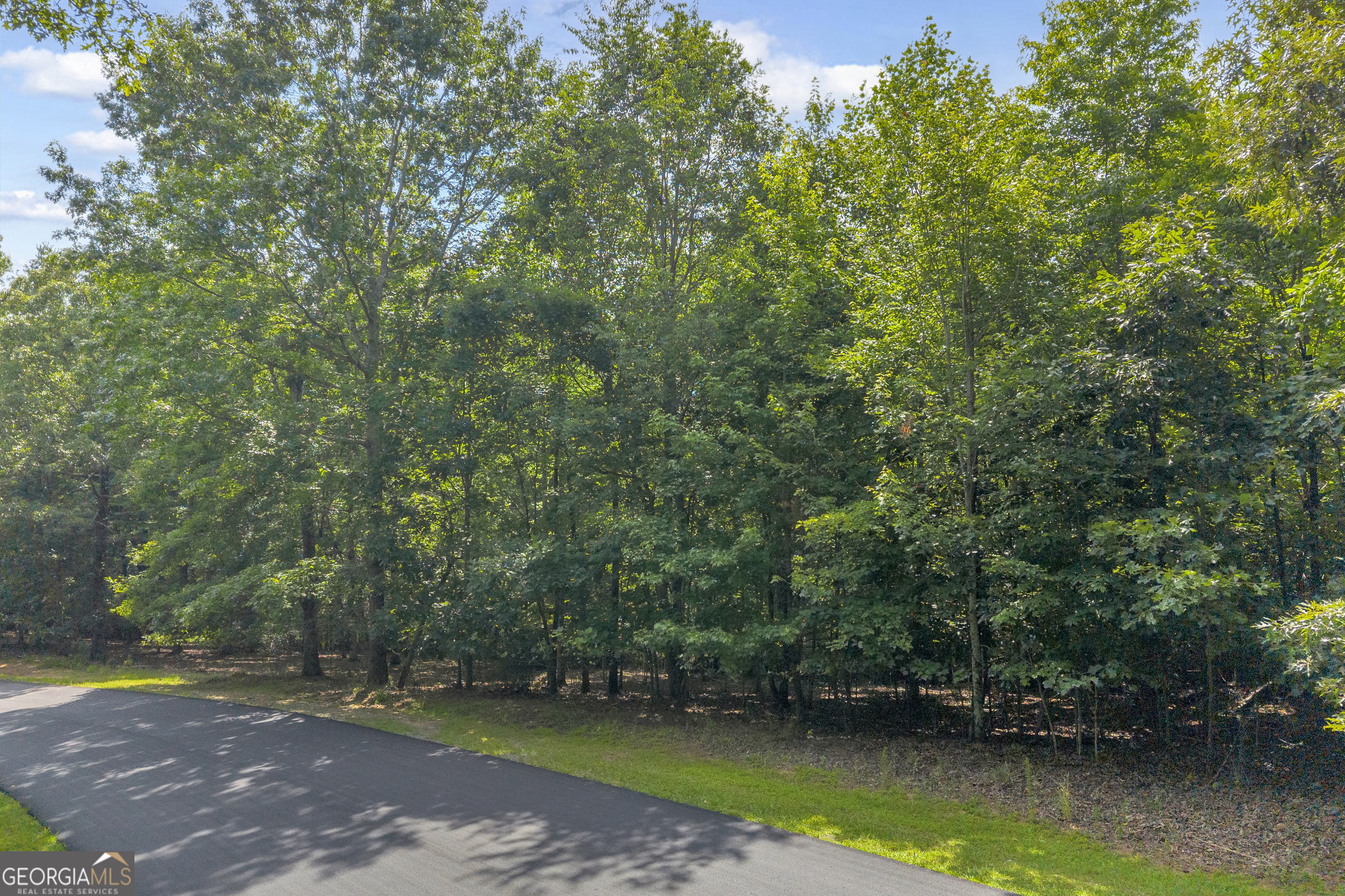 25 Forked Leaf Road Cleveland, GA 30528 - Photo 15 of 48