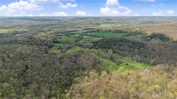 $1,100,000 | 23445 Highway 49, Black, MO 63625