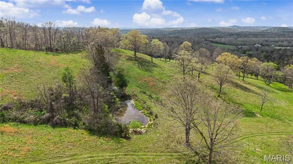 $1,100,000 | 23445 Highway 49, Black, MO 63625