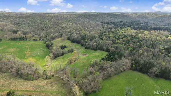 $1,100,000 | 23445 Highway 49, Black, MO 63625