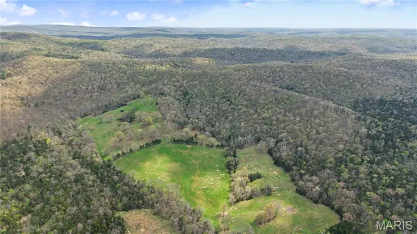 $1,100,000 | 23445 Highway 49, Black, MO 63625