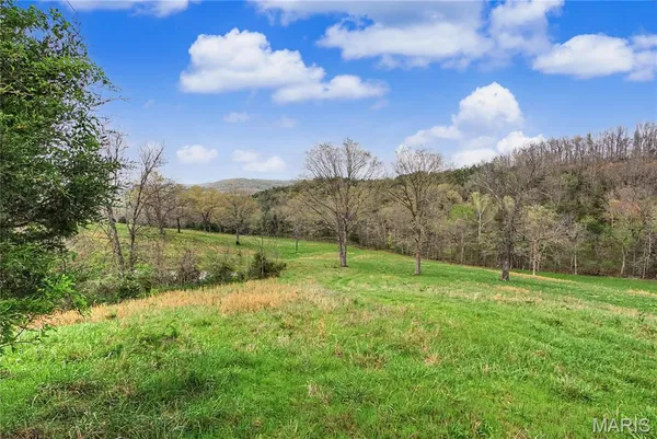 $1,100,000 | 23445 Highway 49, Black, MO 63625