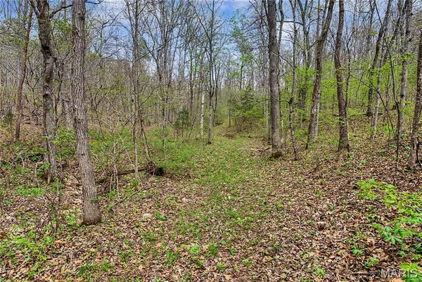 $1,100,000 | 23445 Highway 49, Black, MO 63625