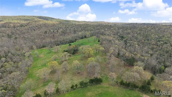 $1,100,000 | 23445 Highway 49, Black, MO 63625