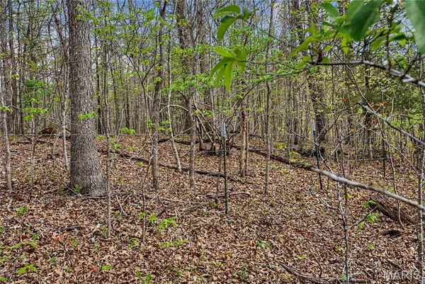 $1,100,000 | 23445 Highway 49, Black, MO 63625