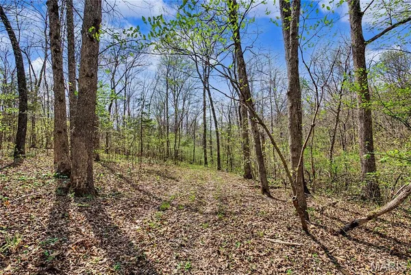 $1,100,000 | 23445 Highway 49, Black, MO 63625