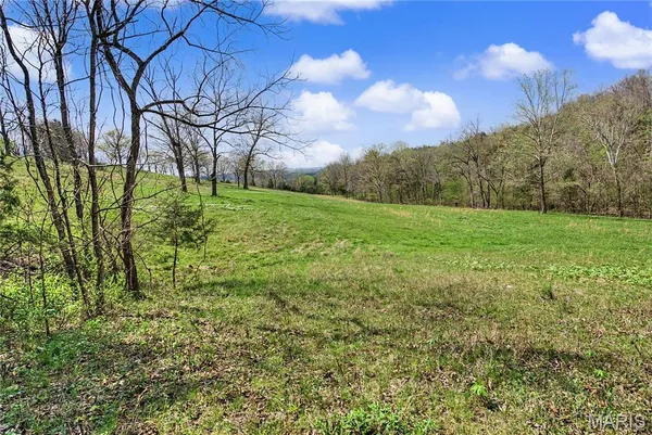 $1,100,000 | 23445 Highway 49, Black, MO 63625