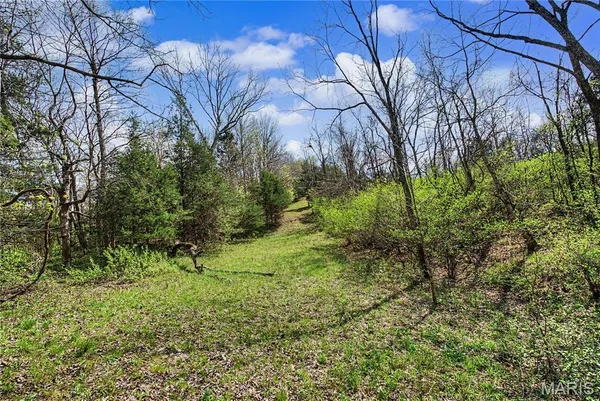 $1,100,000 | 23445 Highway 49, Black, MO 63625