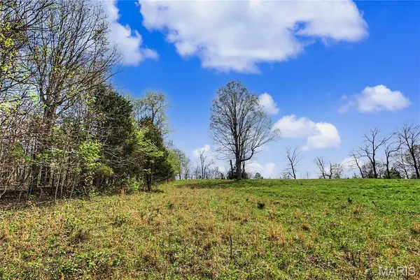 $1,100,000 | 23445 Highway 49, Black, MO 63625