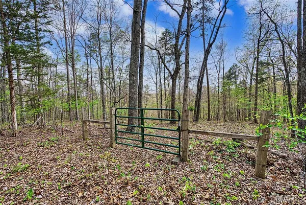 $1,100,000 | 23445 Highway 49, Black, MO 63625