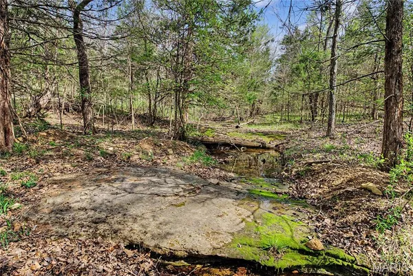 $1,100,000 | 23445 Highway 49, Black, MO 63625