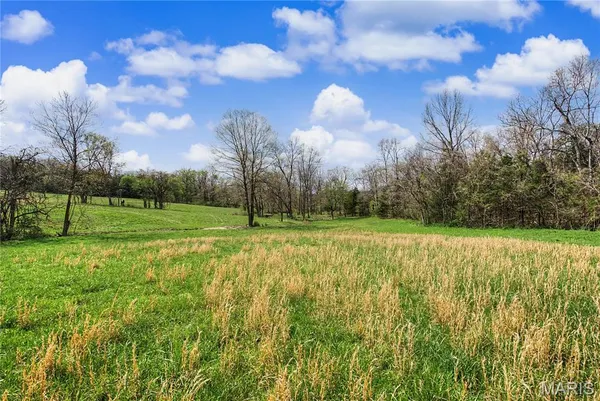 $1,100,000 | 23445 Highway 49, Black, MO 63625