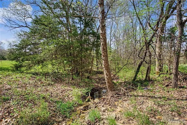 $1,100,000 | 23445 Highway 49, Black, MO 63625