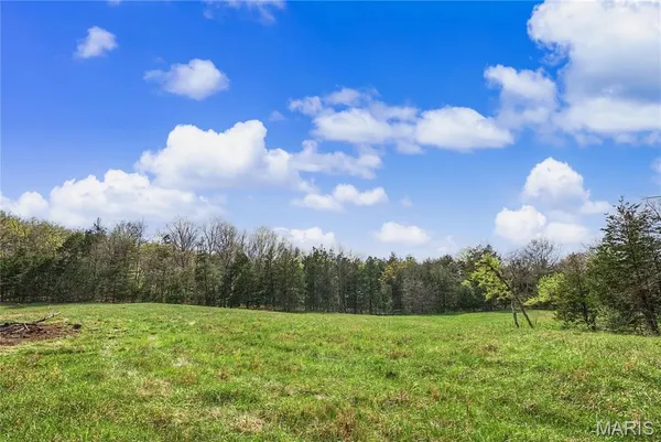 $1,100,000 | 23445 Highway 49, Black, MO 63625