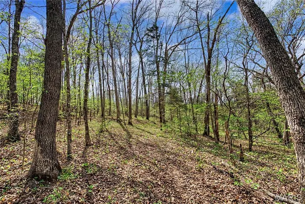 $1,100,000 | 23445 Highway 49, Black, MO 63625