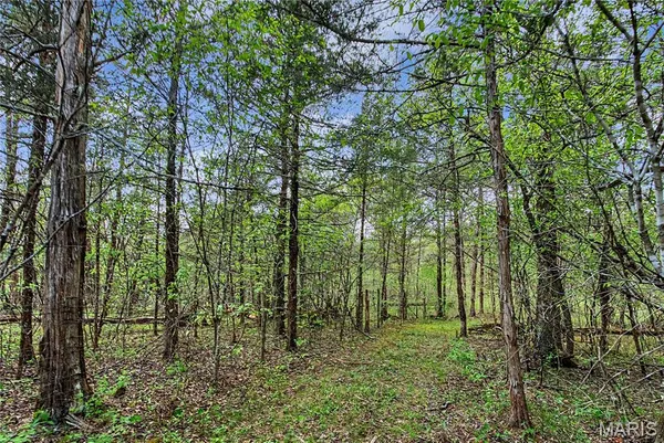 $1,100,000 | 23445 Highway 49, Black, MO 63625