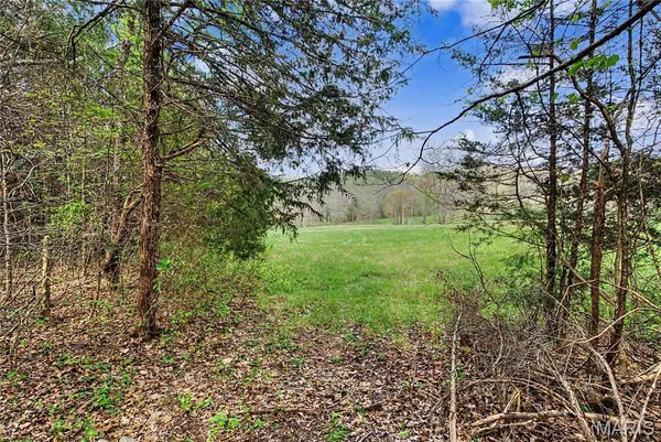 $1,100,000 | 23445 Highway 49, Black, MO 63625
