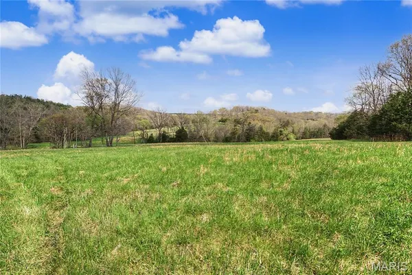 $1,100,000 | 23445 Highway 49, Black, MO 63625