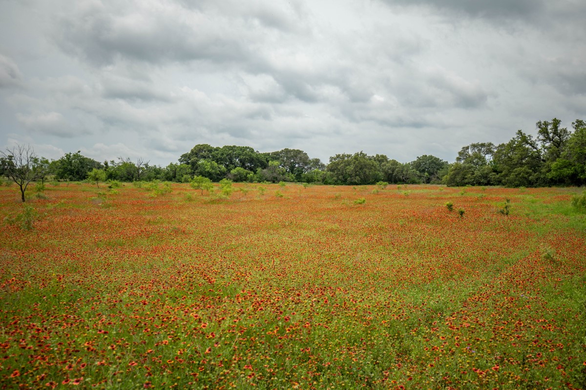 1 County Road 292 Early, TX 76802 - Photo 1 of 1